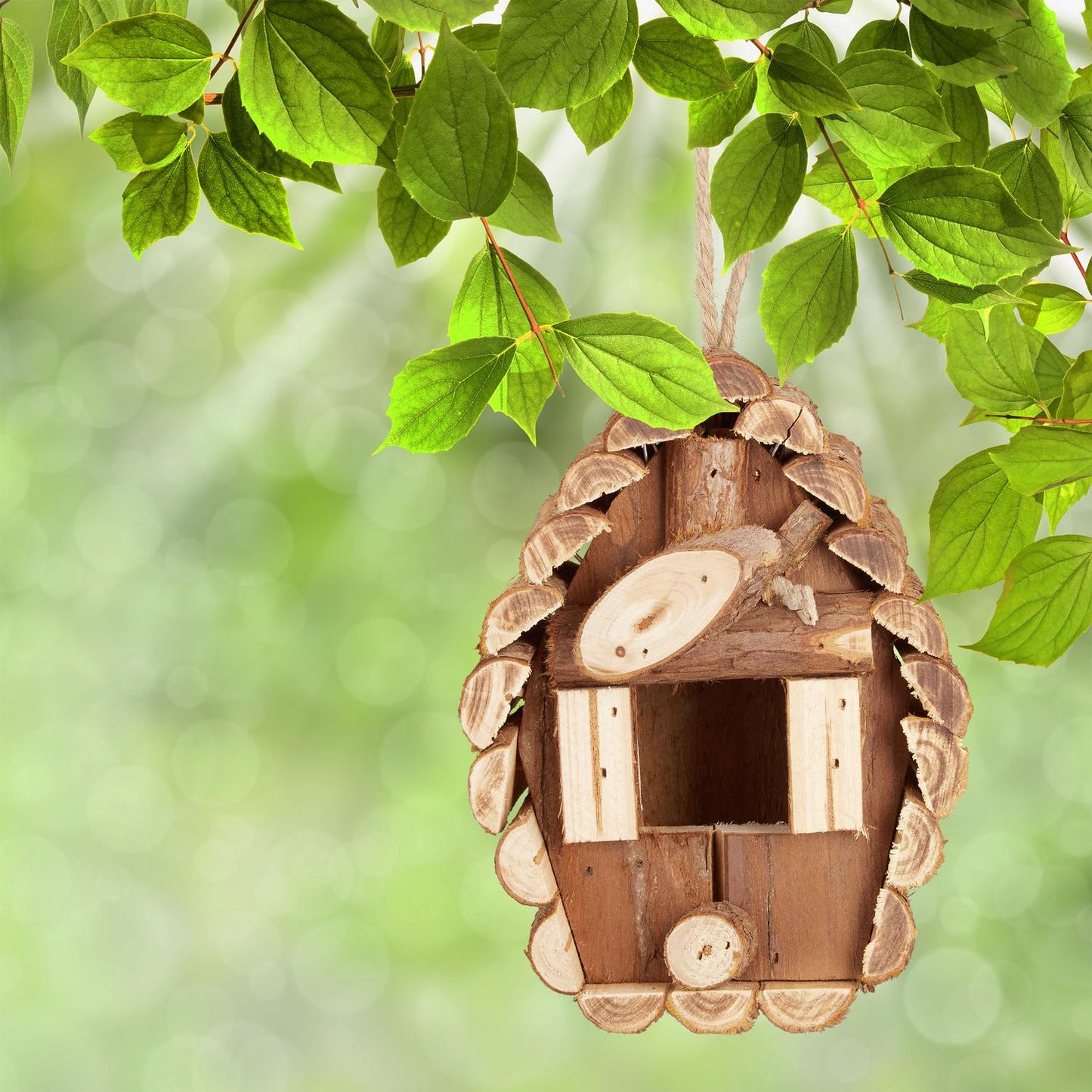 Miniholk wood