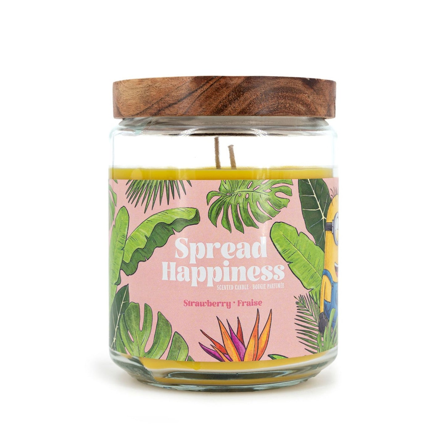 Minions Scented Candle, Fruity Aroma, 510g