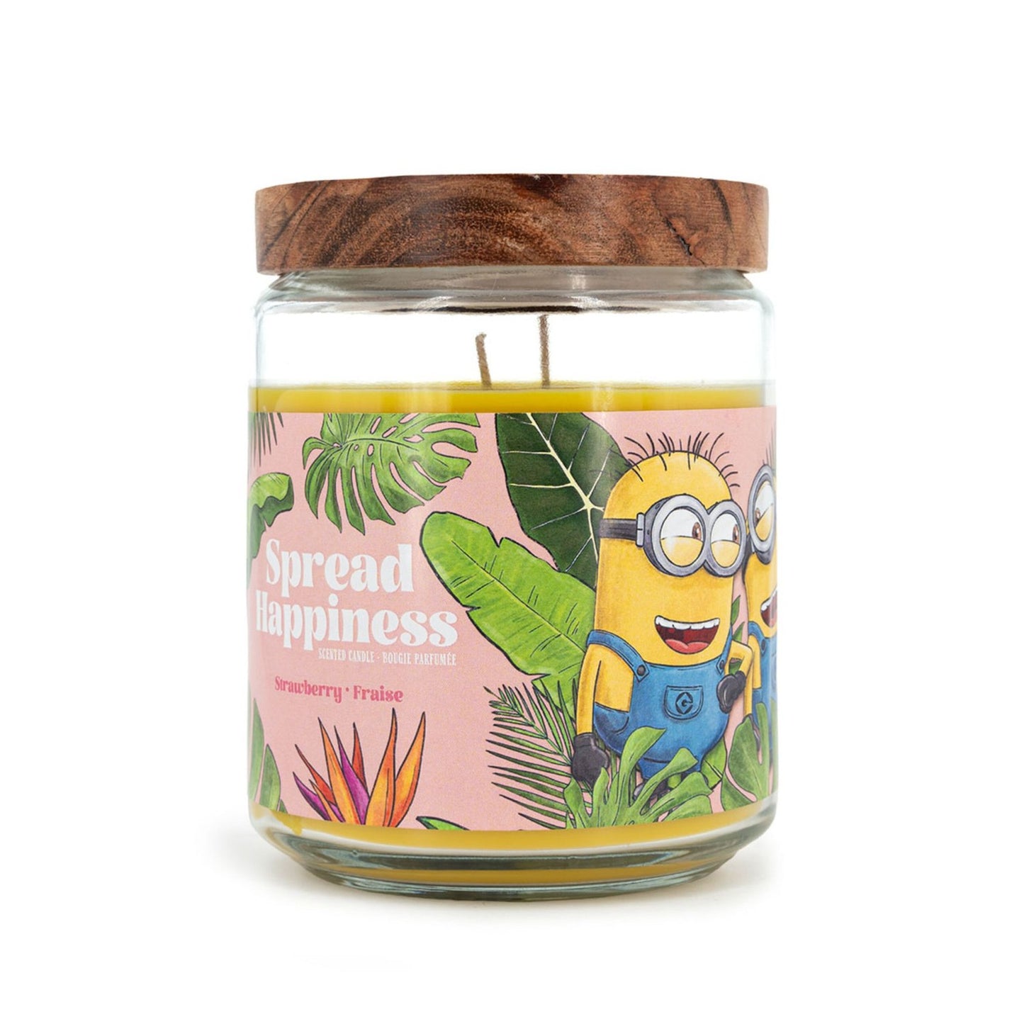 Minions Scented Candle, Fruity Aroma, 510g