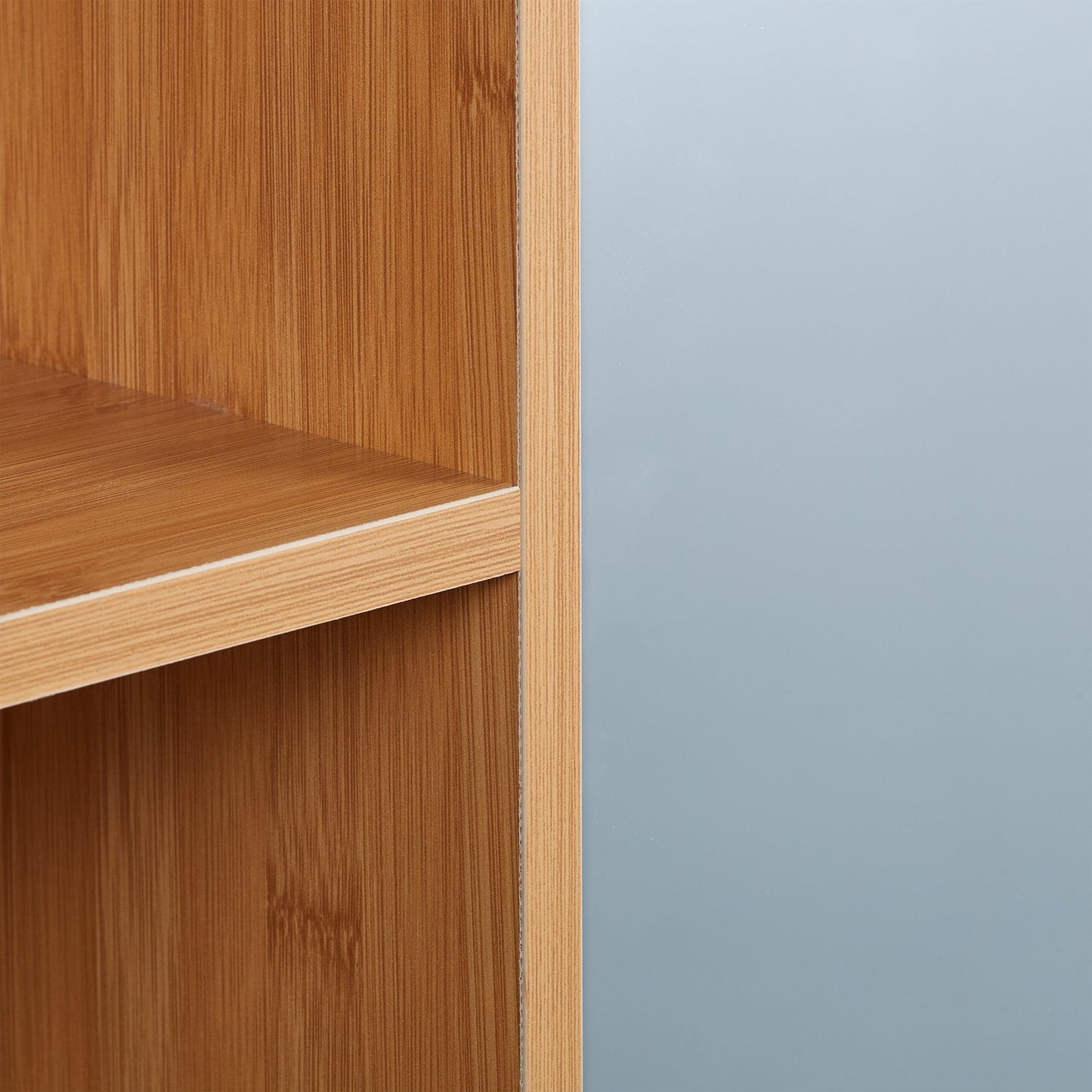 Mirror cabinet with shelves
