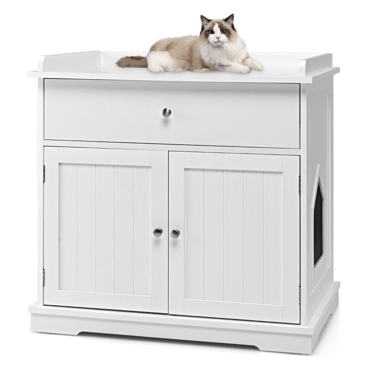 Modern Decorative Cat Litter Tray Side Table with Drawer and 2 Doors for Indoor Use White