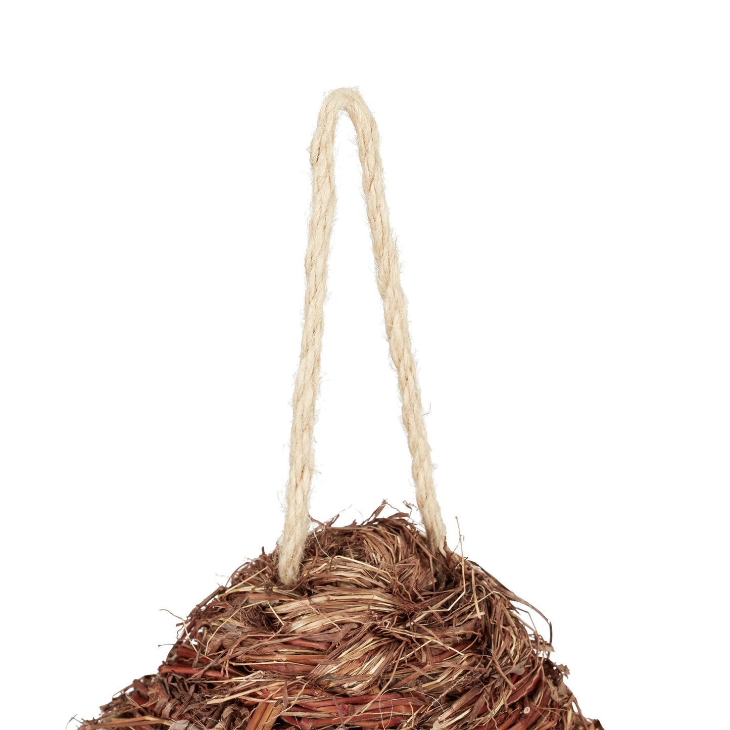 Mushroom Shaped Bird Nest