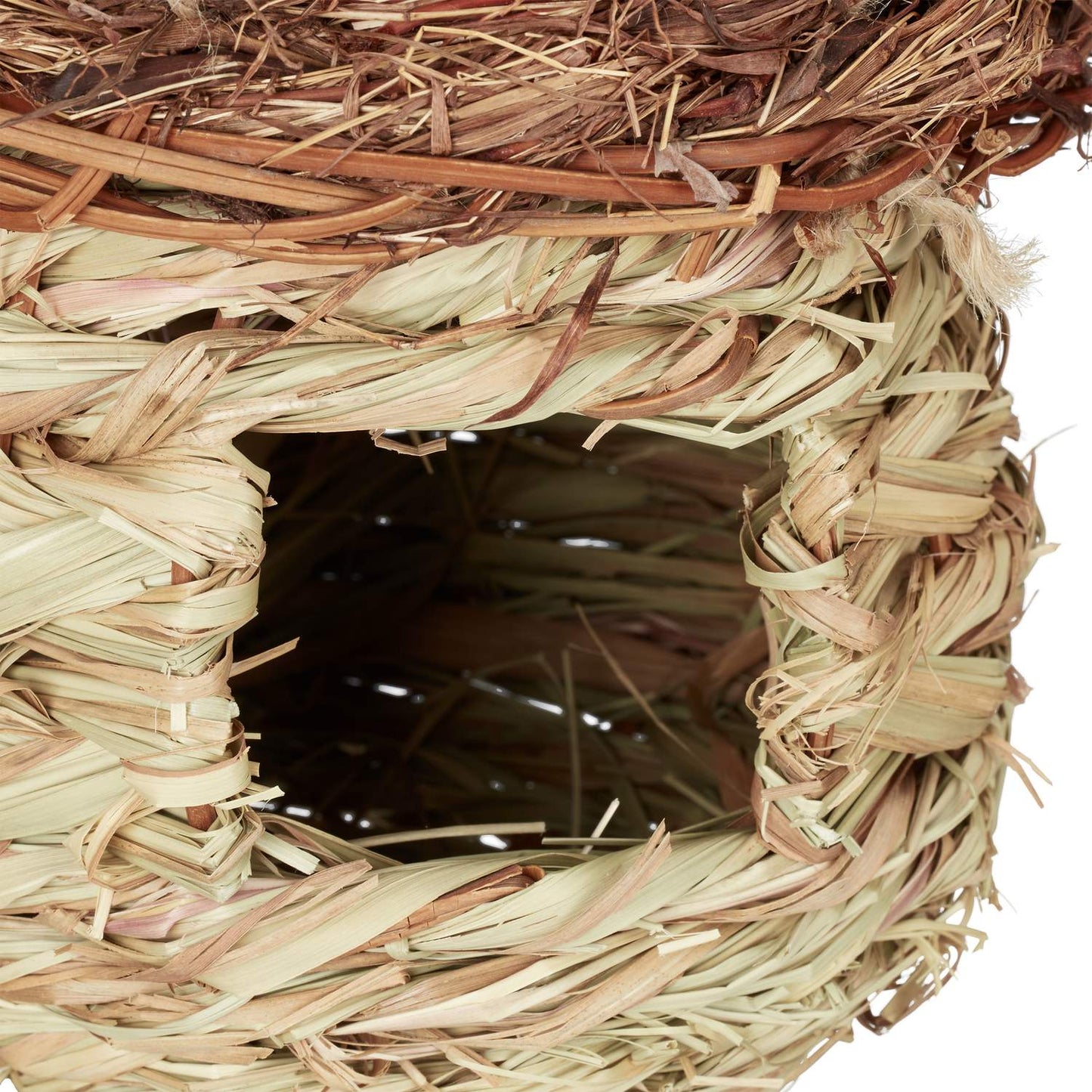 Mushroom Shaped Bird Nest