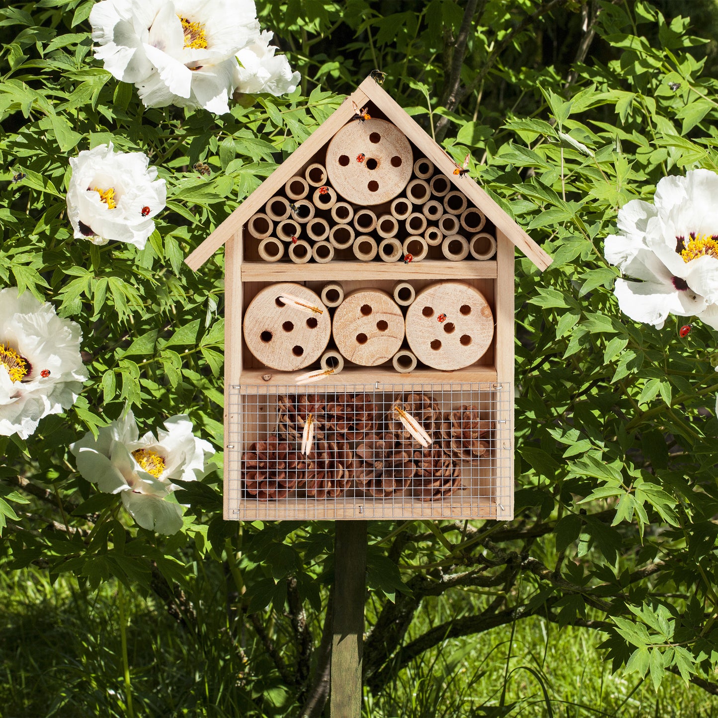 Natural Insect Hotel Assembly Kit