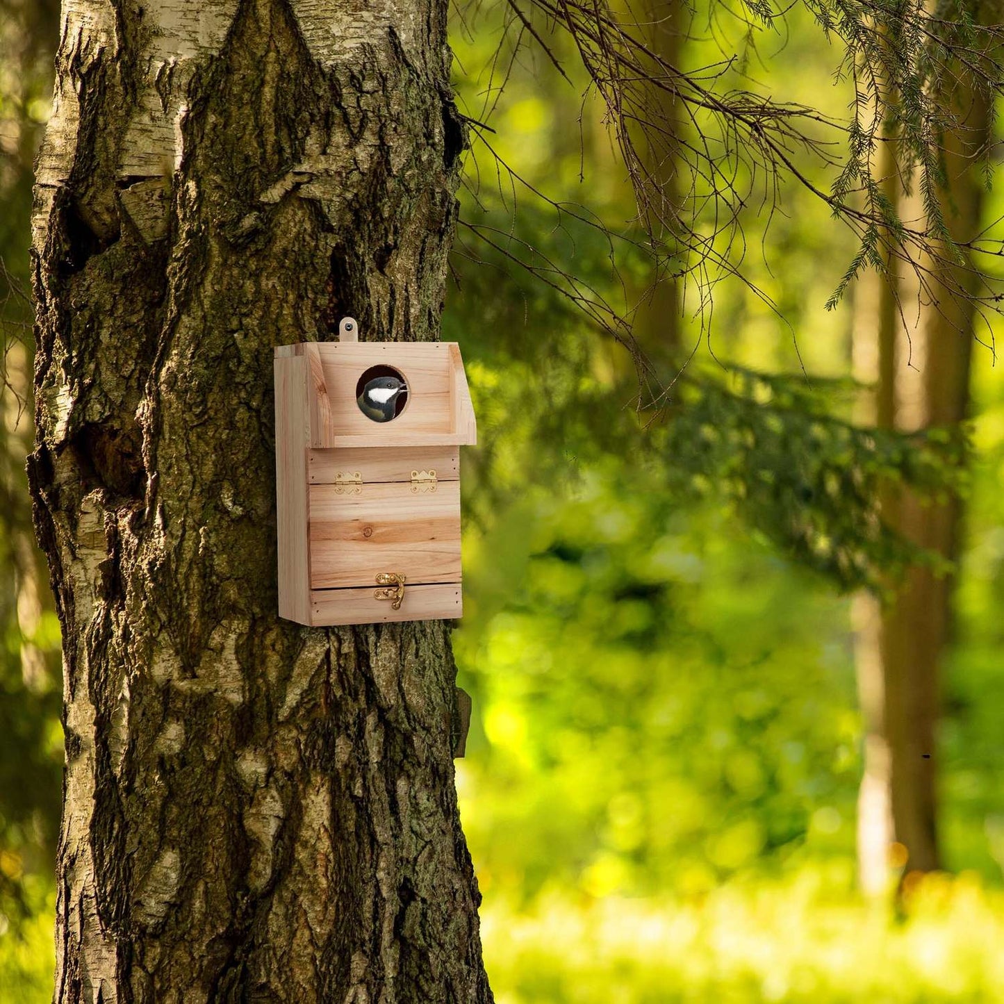 Nest box with cleaning hatch