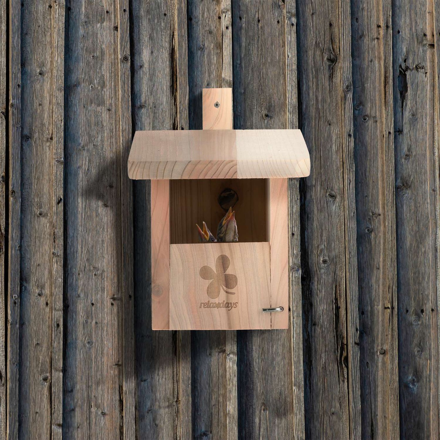 Nesting Box Natural Wood