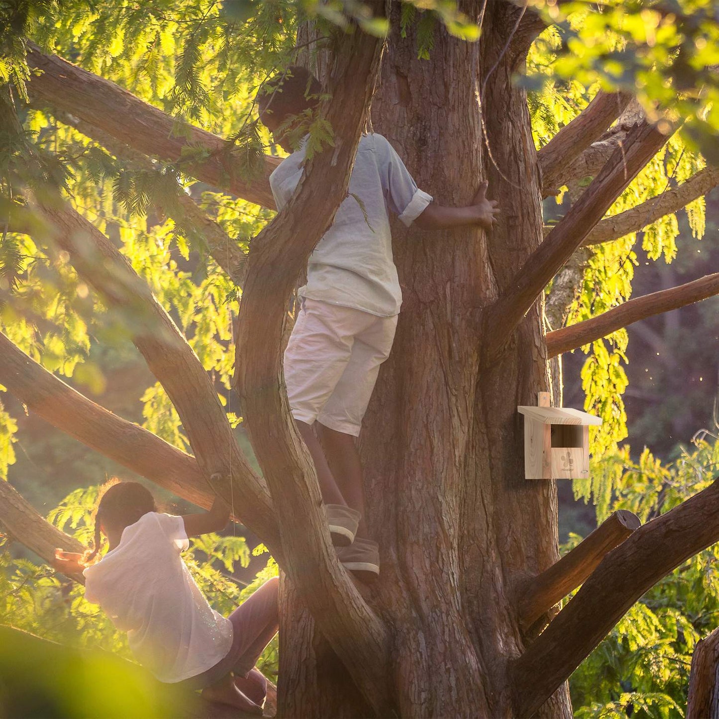 Nesting Box Natural Wood