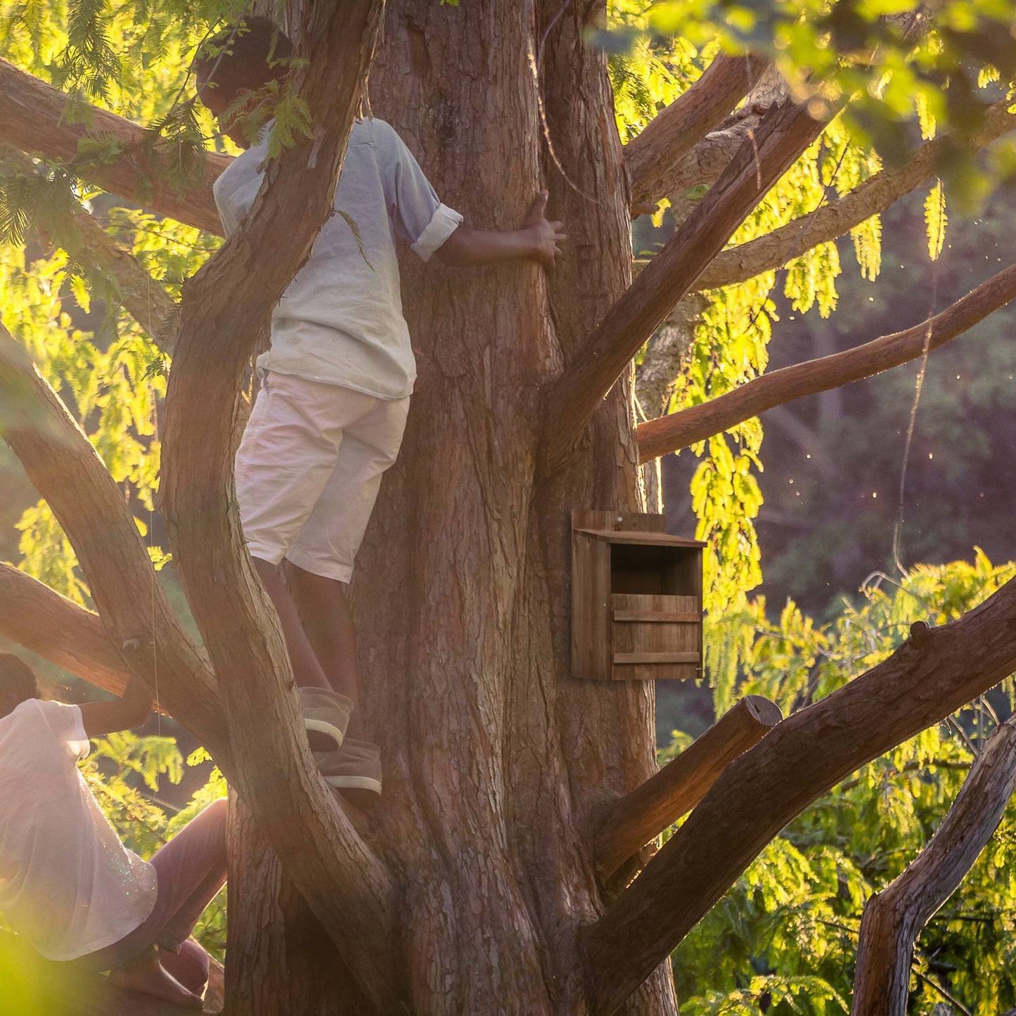 Nesting box for birds that nest in semi-cavities