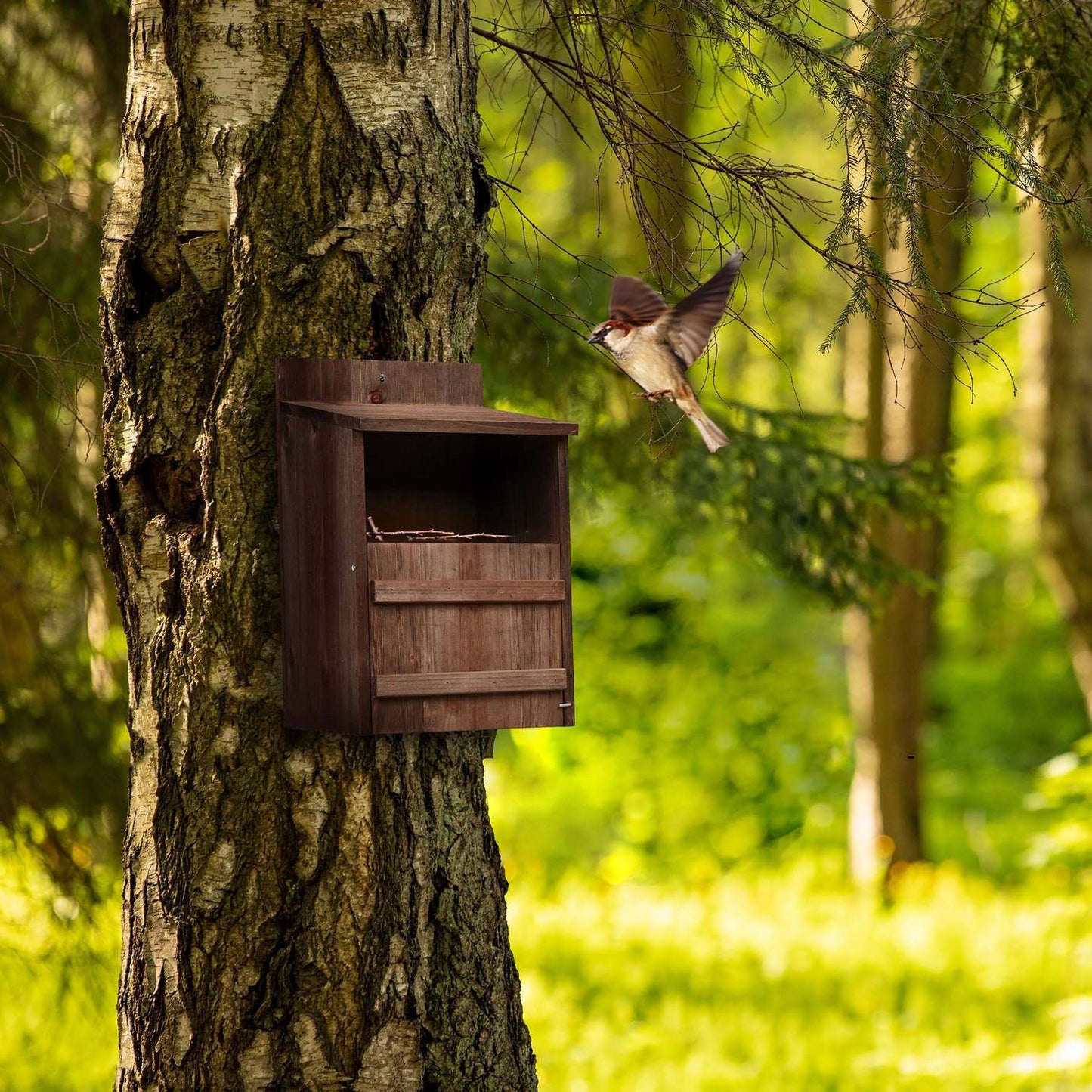 Nesting box for birds that nest in semi-cavities