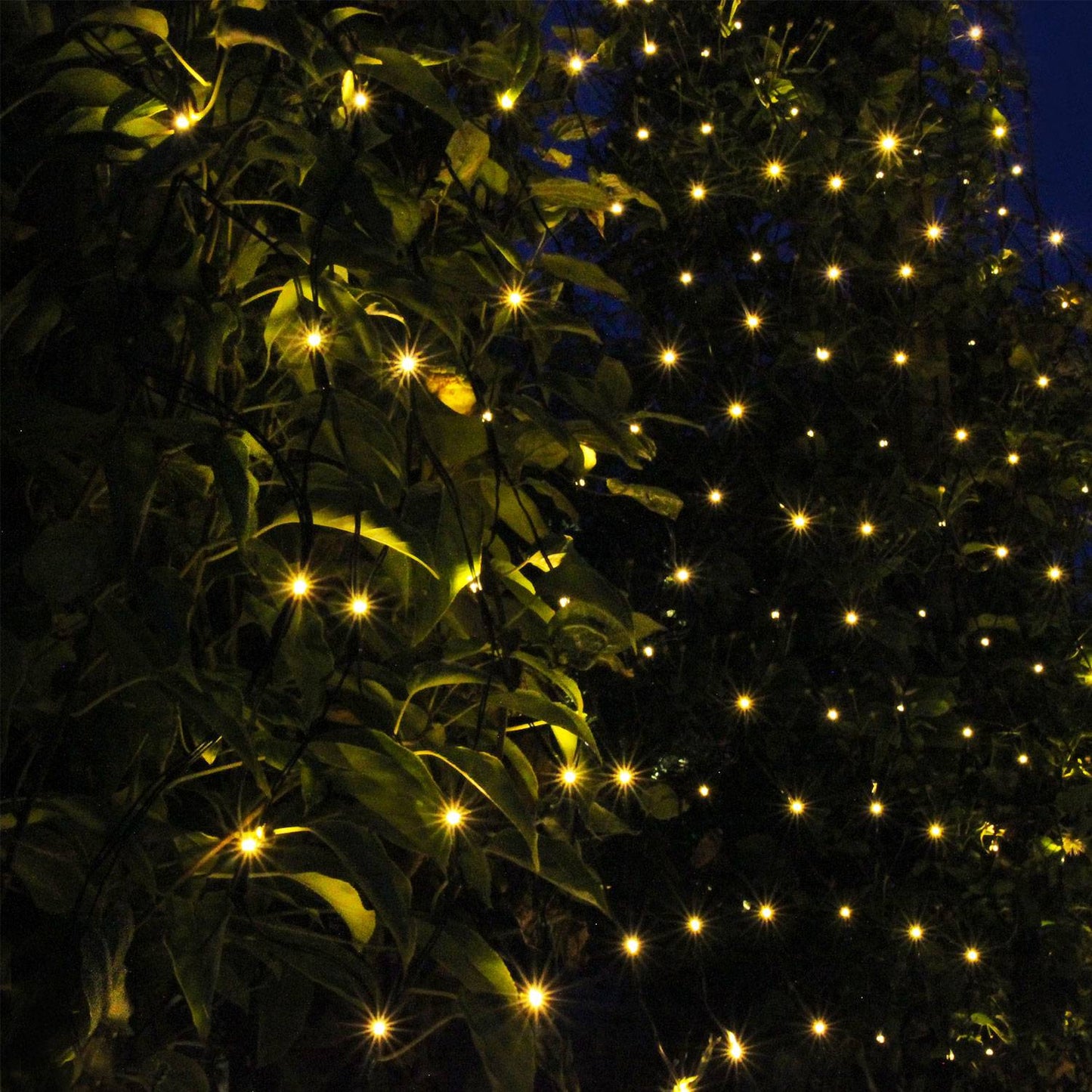 Net Light net 2x1.5m with 168 light points