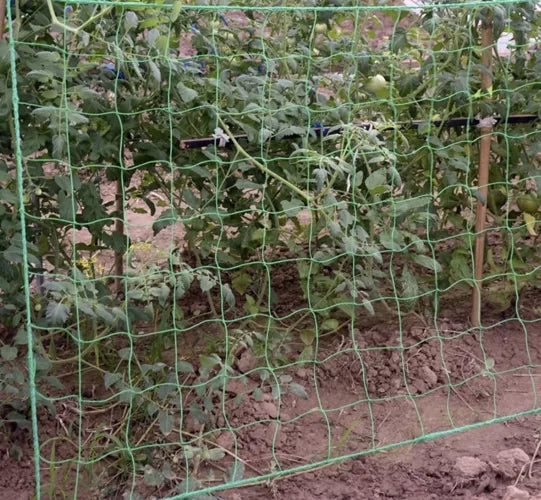 Net - plant support 2x20m Gardlov 23980