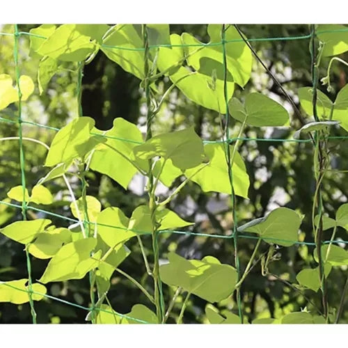 Net - plant support 2x20m Gardlov 23980