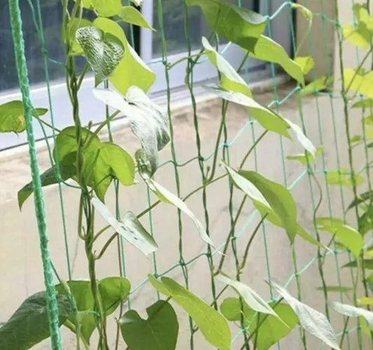 Net - plant support 2x20m Gardlov 23980