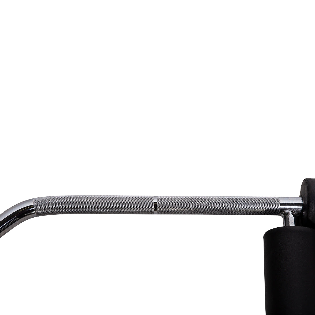 Olympic Curl Bar 220cm – Steel, 320kg Capacity