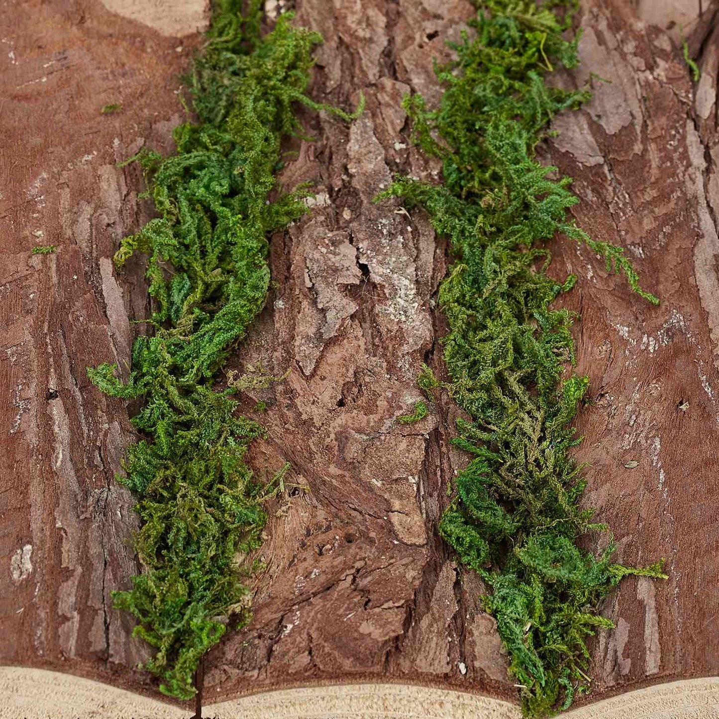 Ornamental box with bark