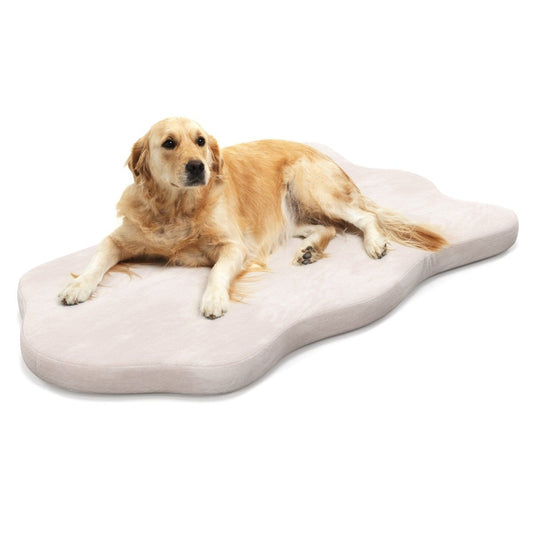 Orthopedic Dog Bed for Large Dogs with Memory Foam Support & Removable Cover Beige