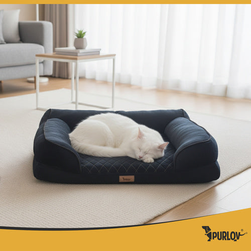 Orthopedic Pet Bed, Small, Foam, Non-Slip, Washable Cover