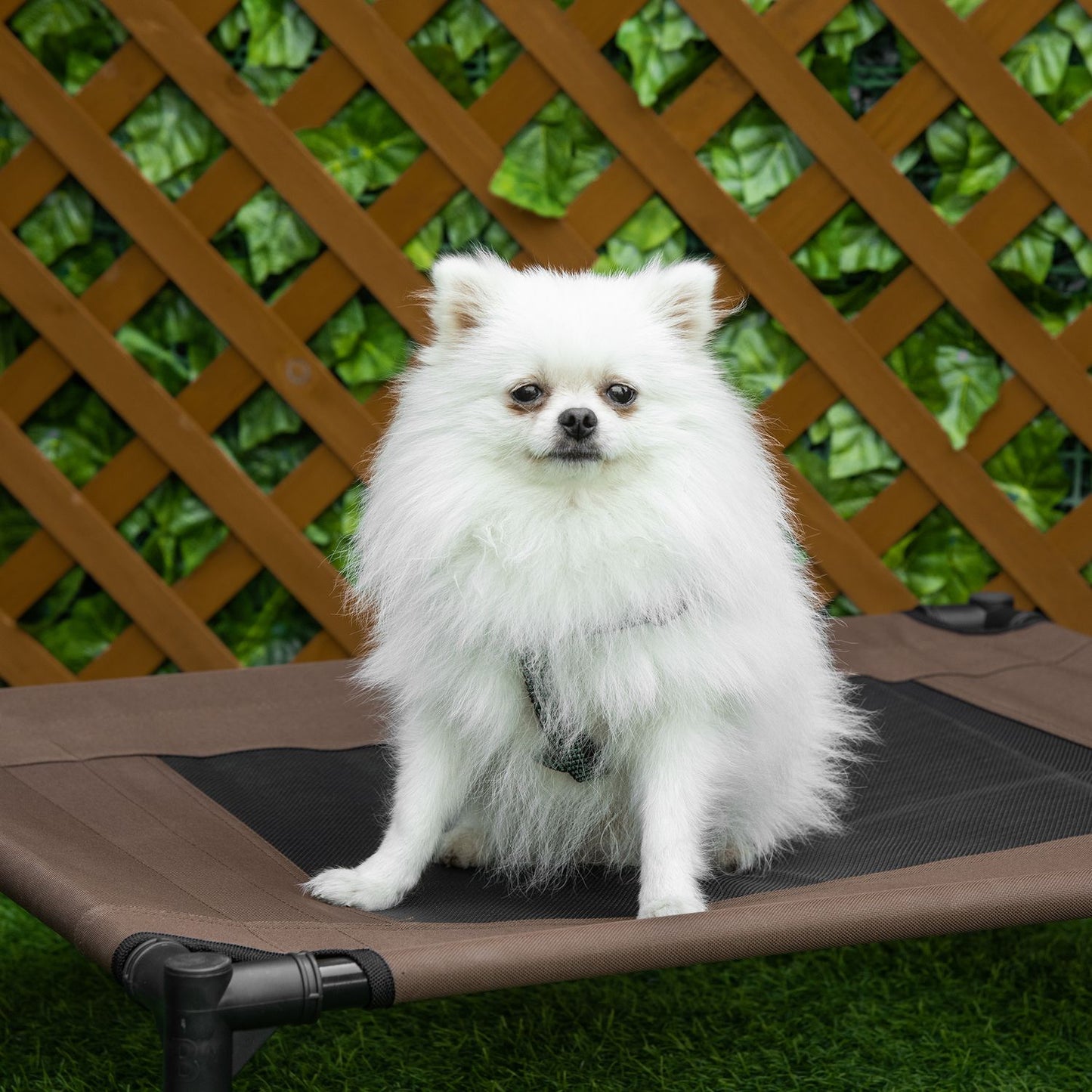 Durable outdoor dog bed, brown 76x61x18cm for pets