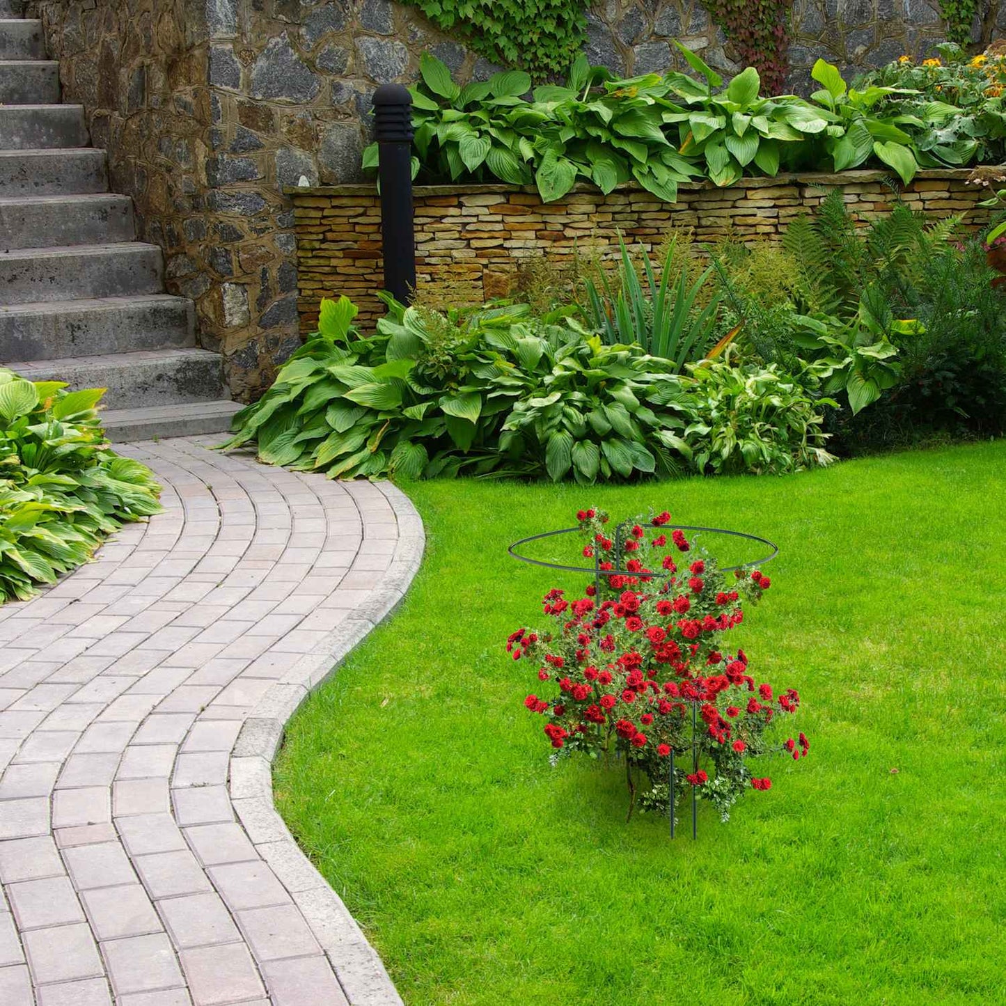Pack of 12 Plant Supports