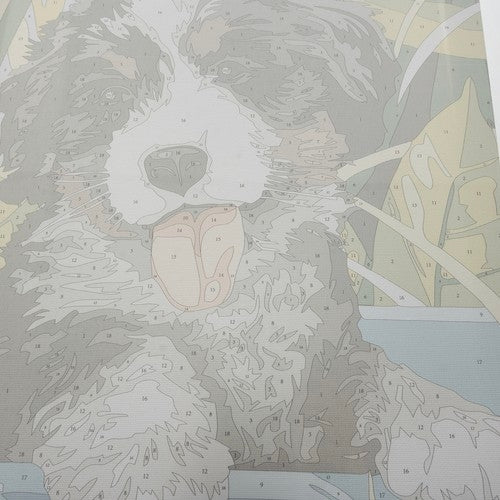 Painting by numbers 40x30cm - Maaleo dog 22780