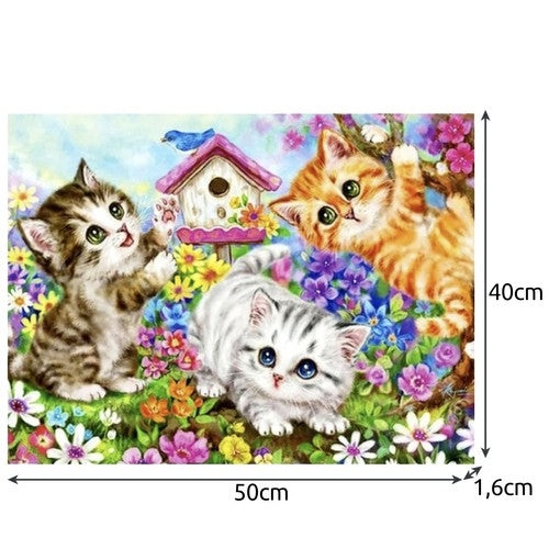 Painting by numbers 40x50cm - Maaleo cats 22781