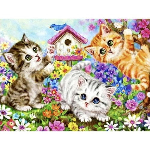 Painting by numbers 40x50cm - Maaleo cats 22781
