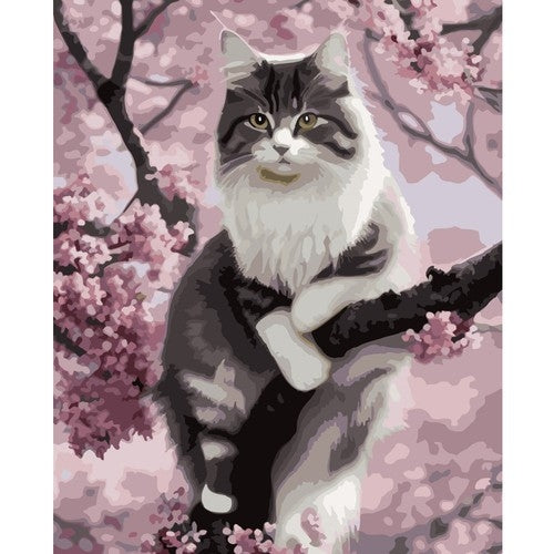 Painting by numbers 40x50cm - Maaleo kitten 22783