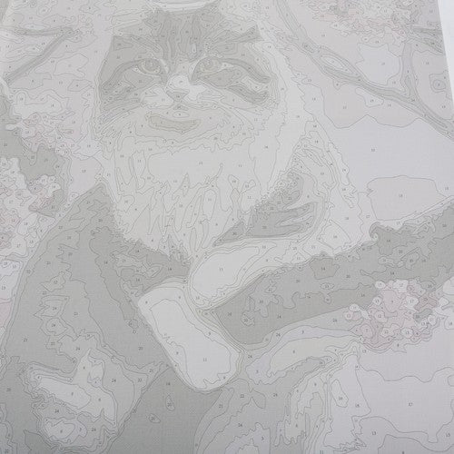 Painting by numbers 40x50cm - Maaleo kitten 22783