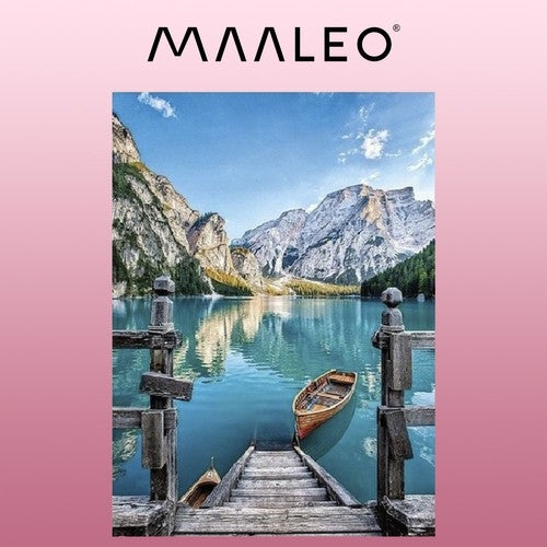 Painting by numbers 40x50cm - painting Maaleo 22785