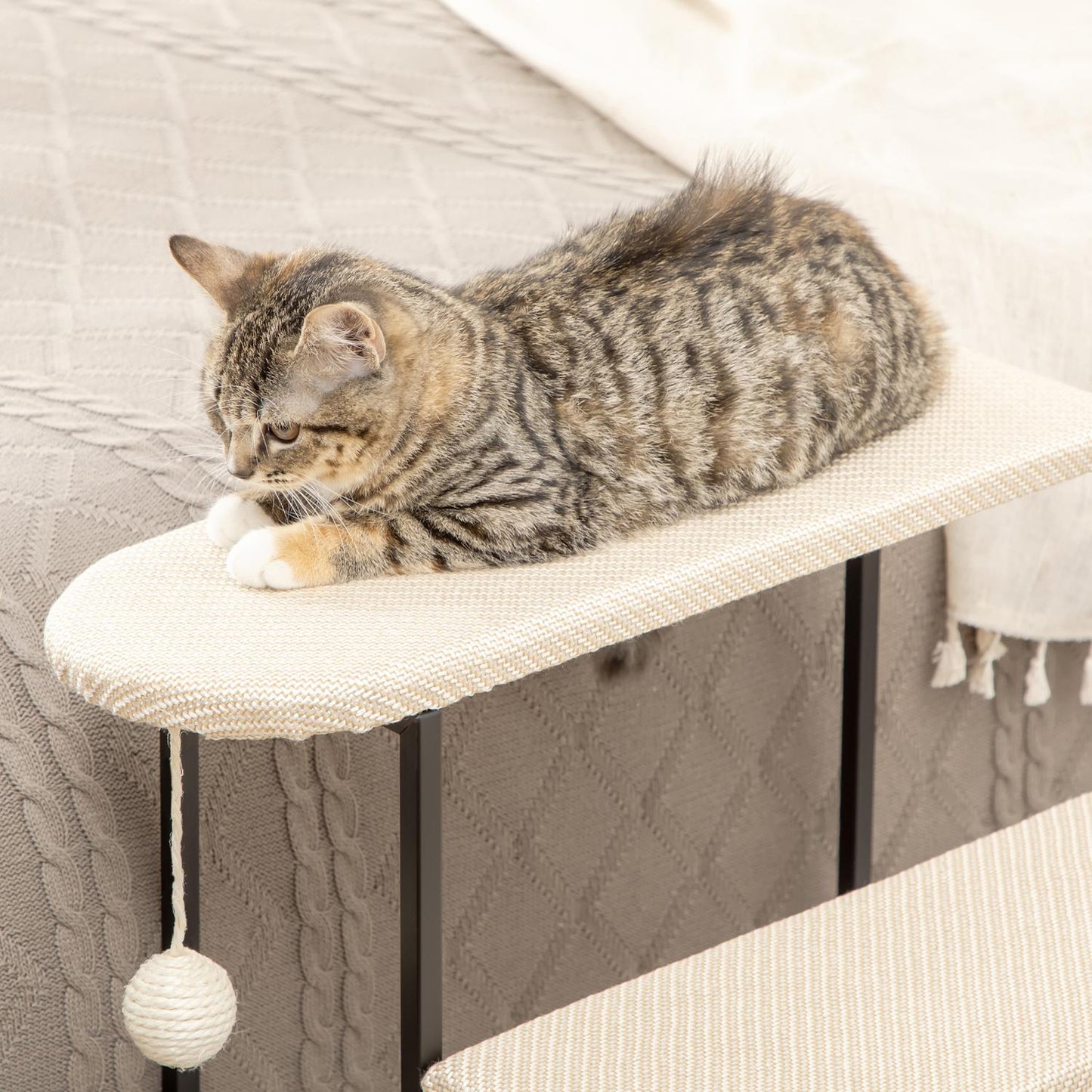 3-step pet stairs with scratching board and play ball