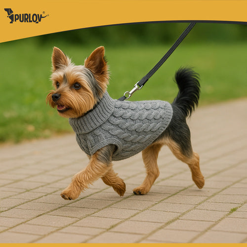 Pet Sweater, Gray, Size M, Warm Winter Knit