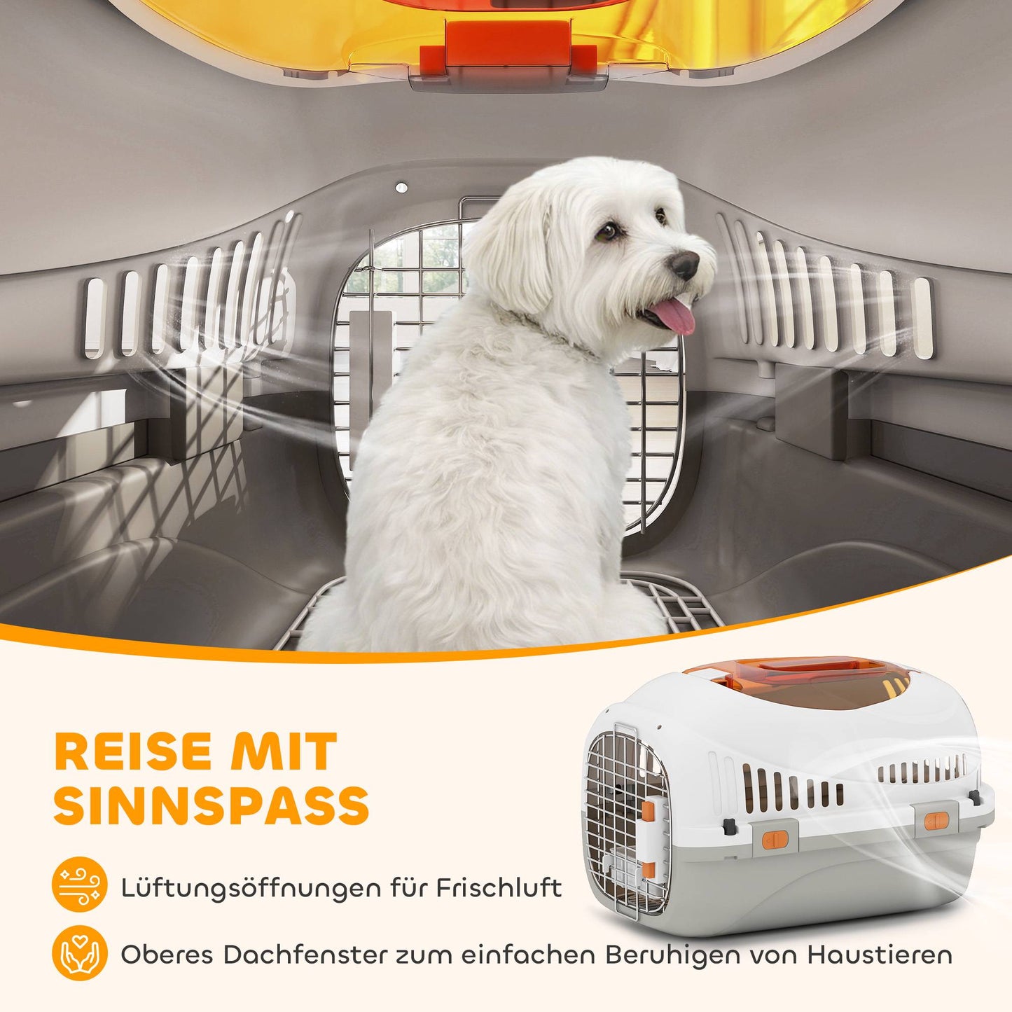 Pet Transport Box for Cats and Mini Dogs up to 4kg