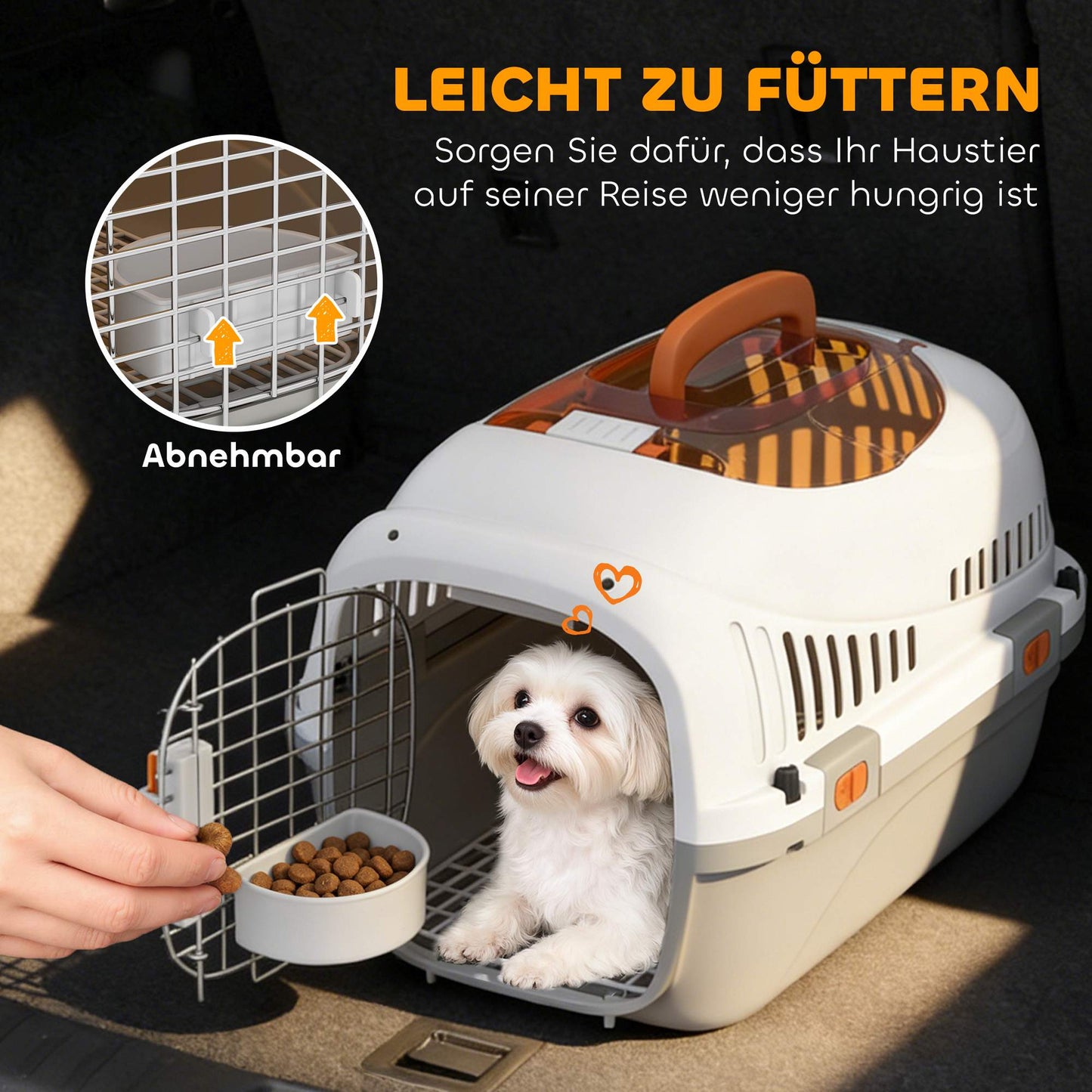 Pet Transport Box for Cats and Mini Dogs up to 4kg