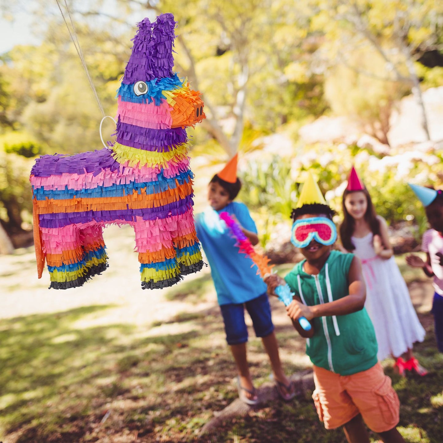 Pinata Donkey