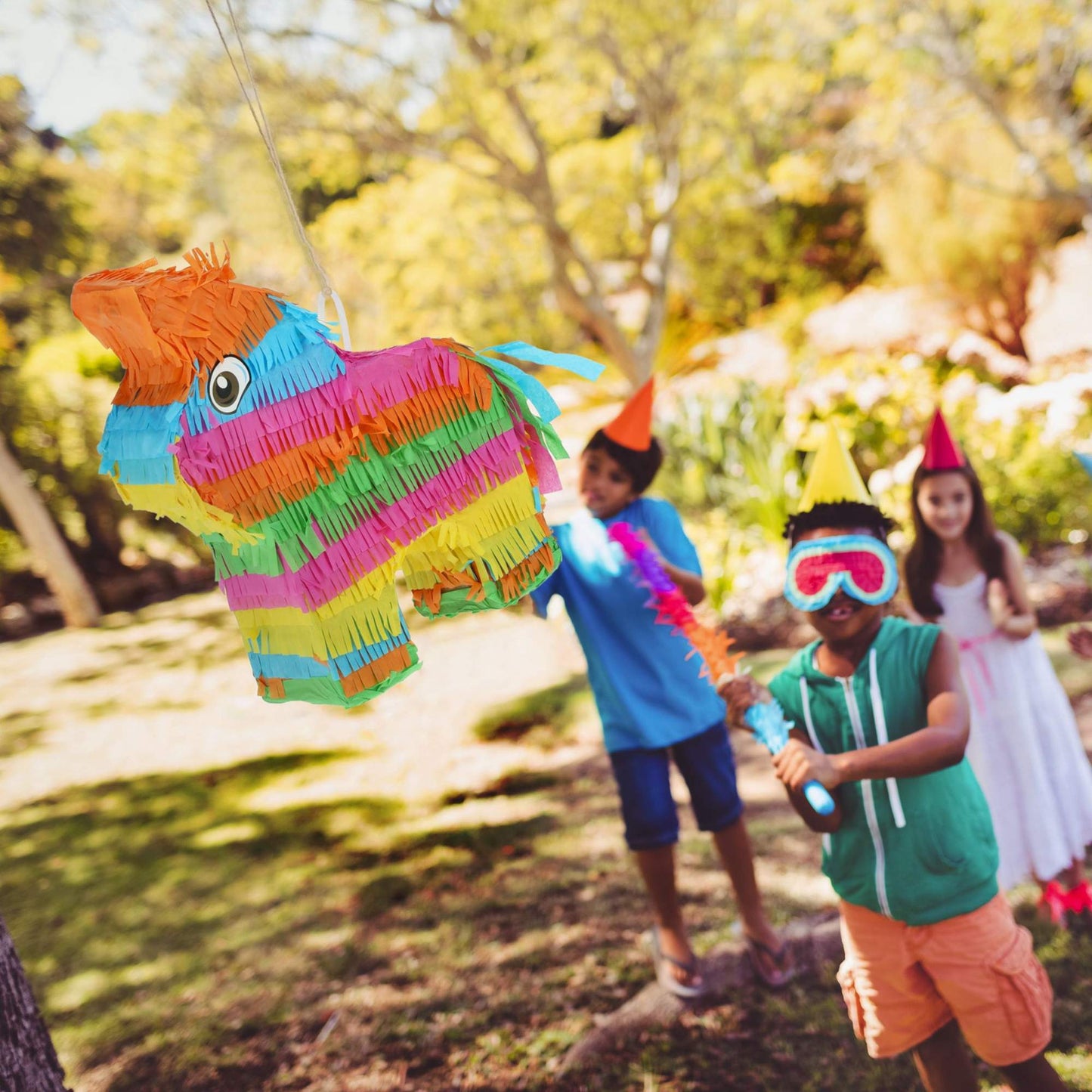 Pinata Donkey