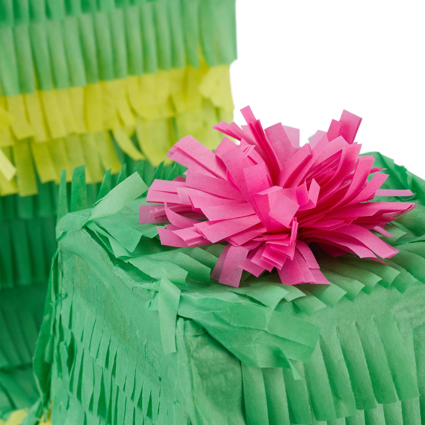 Pinata cactus