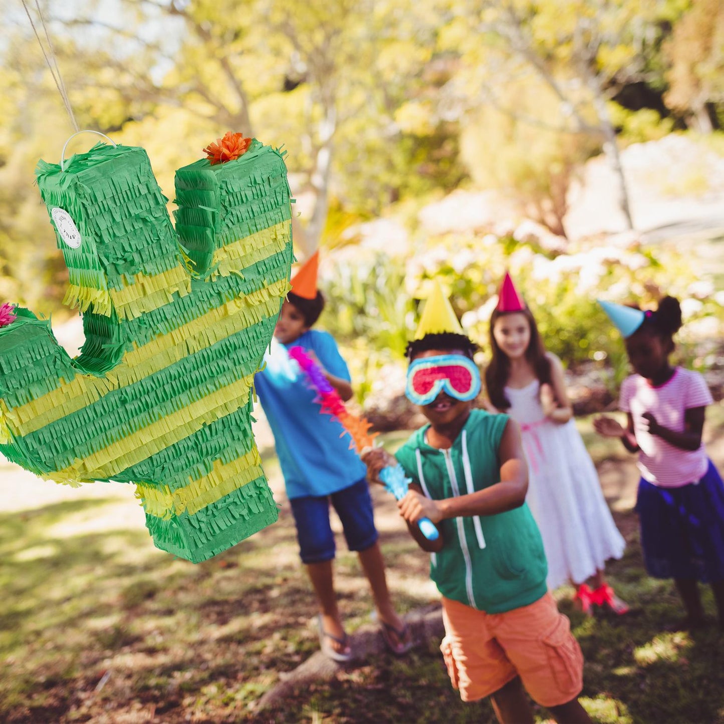 Pinata cactus