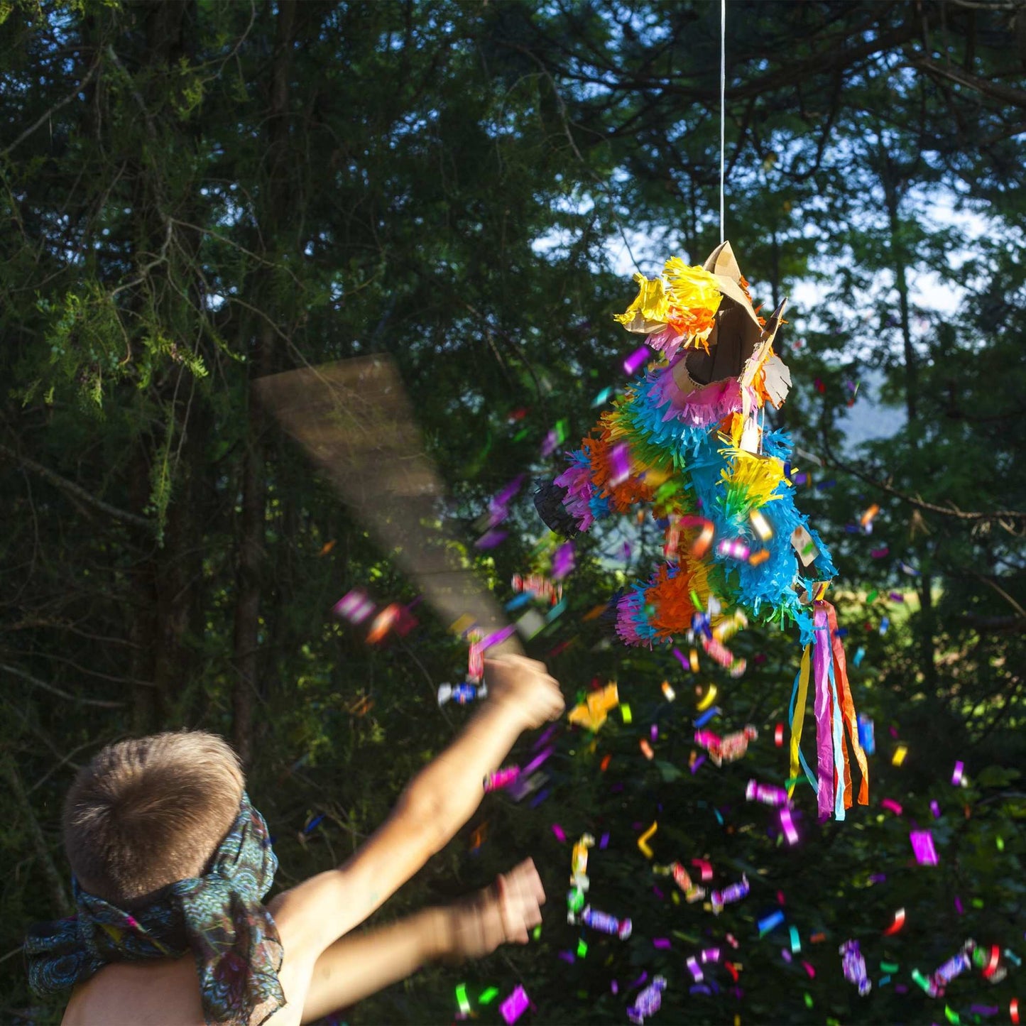 Pinata colorful donkey