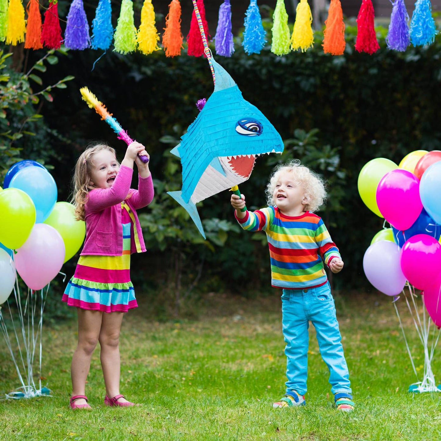 Pinata shark