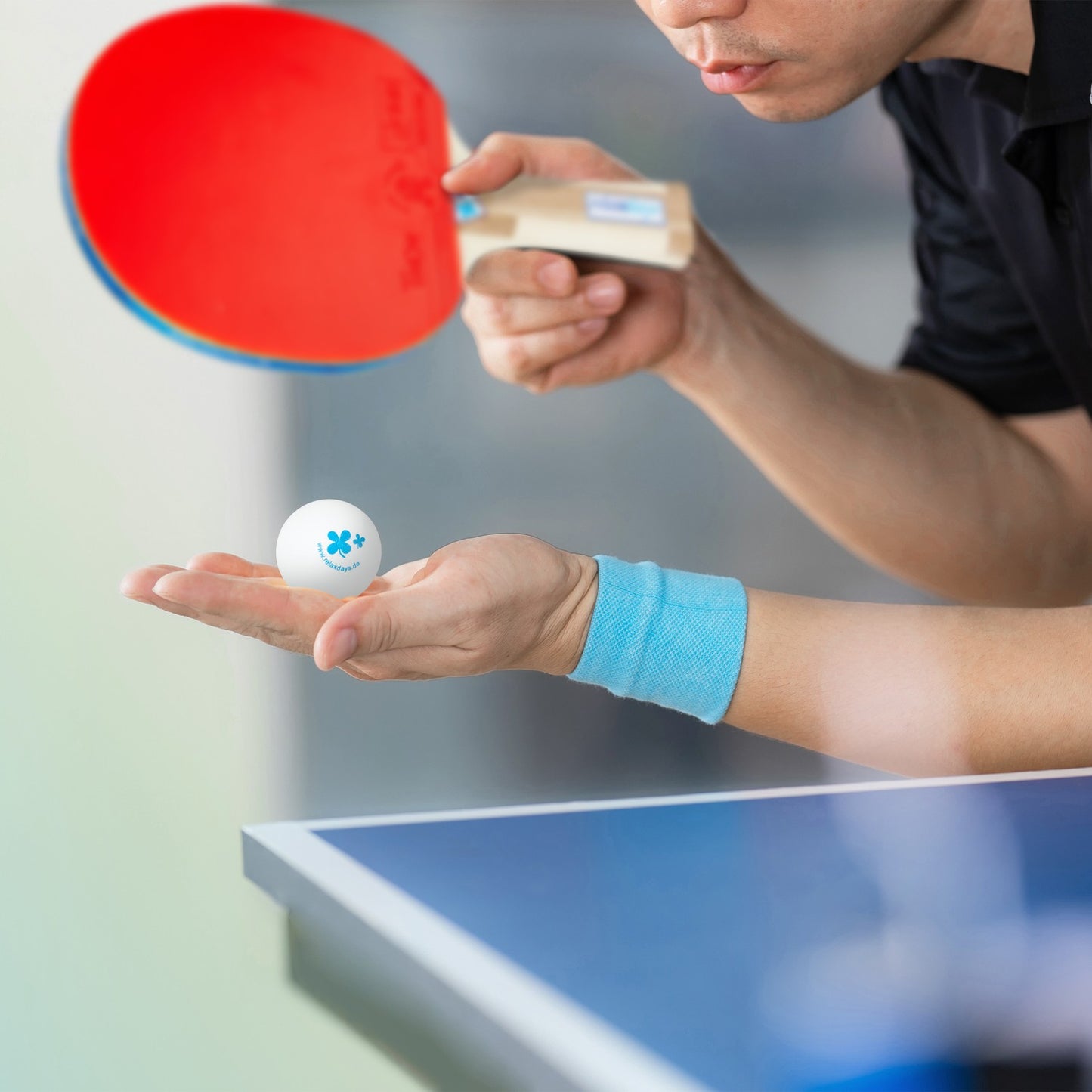 Ping pong racket set with net