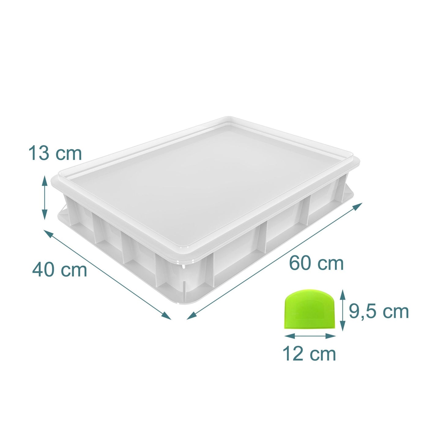 Pizza Dough Proofing Box with Lid, Holds 12–16 Balls