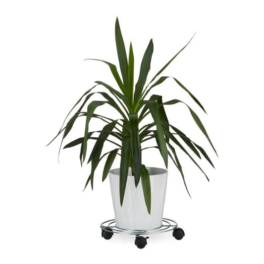 Plant Roller with Brake