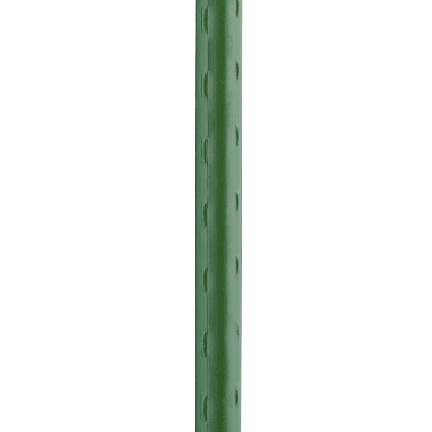 Plant Stakes 120 cm in Set of 10