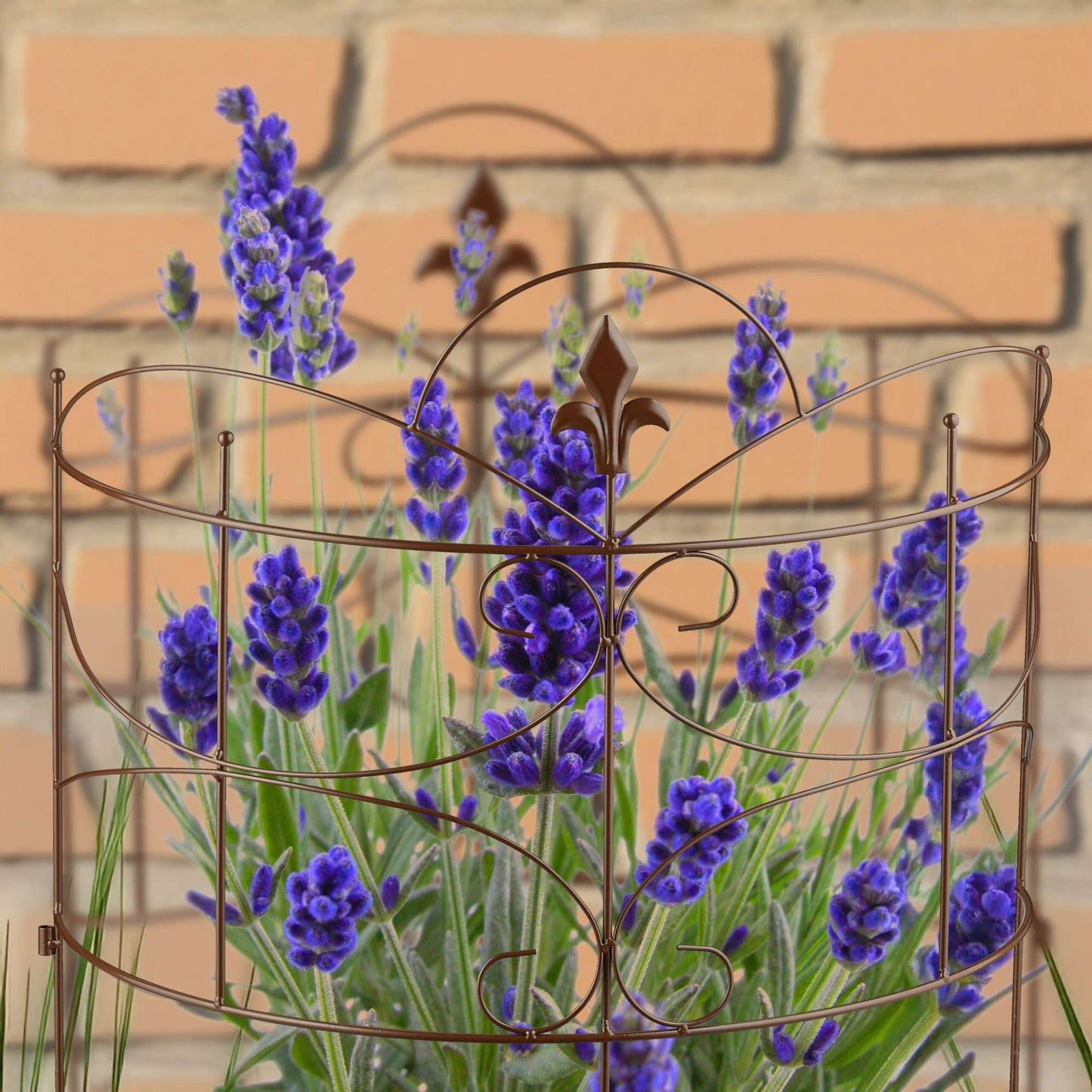 Plant Support Stakes, 2-Piece Iron Fleur-de-Lis Design