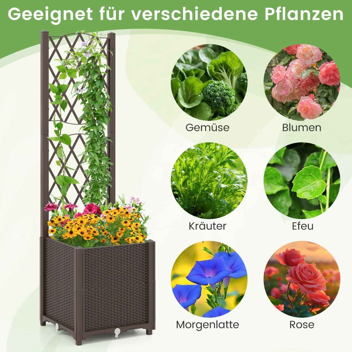 Planter Box with Trellis, Self-Watering, 40x40x140 cm