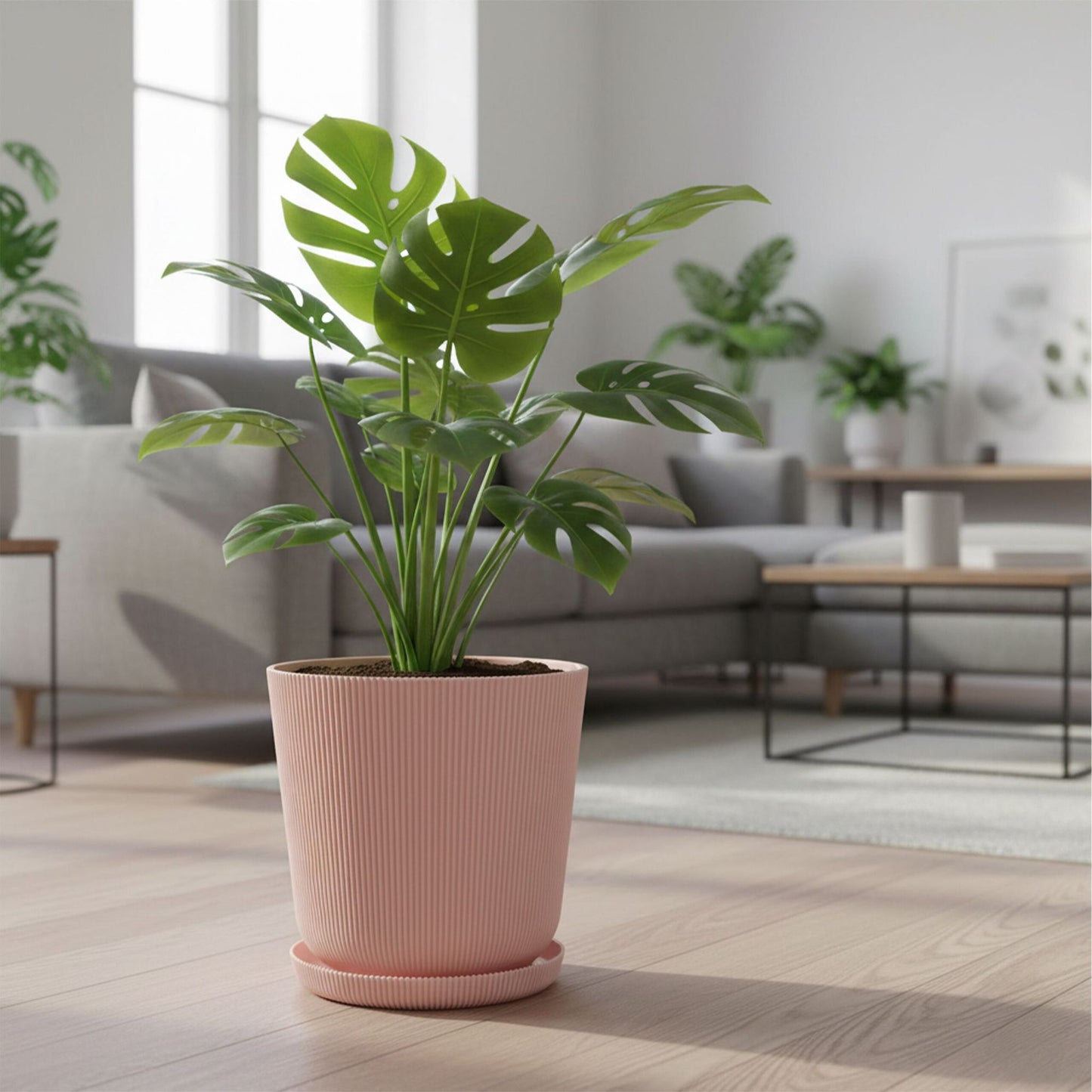 Planters with Saucers, Set of 2, Indoor/Outdoor