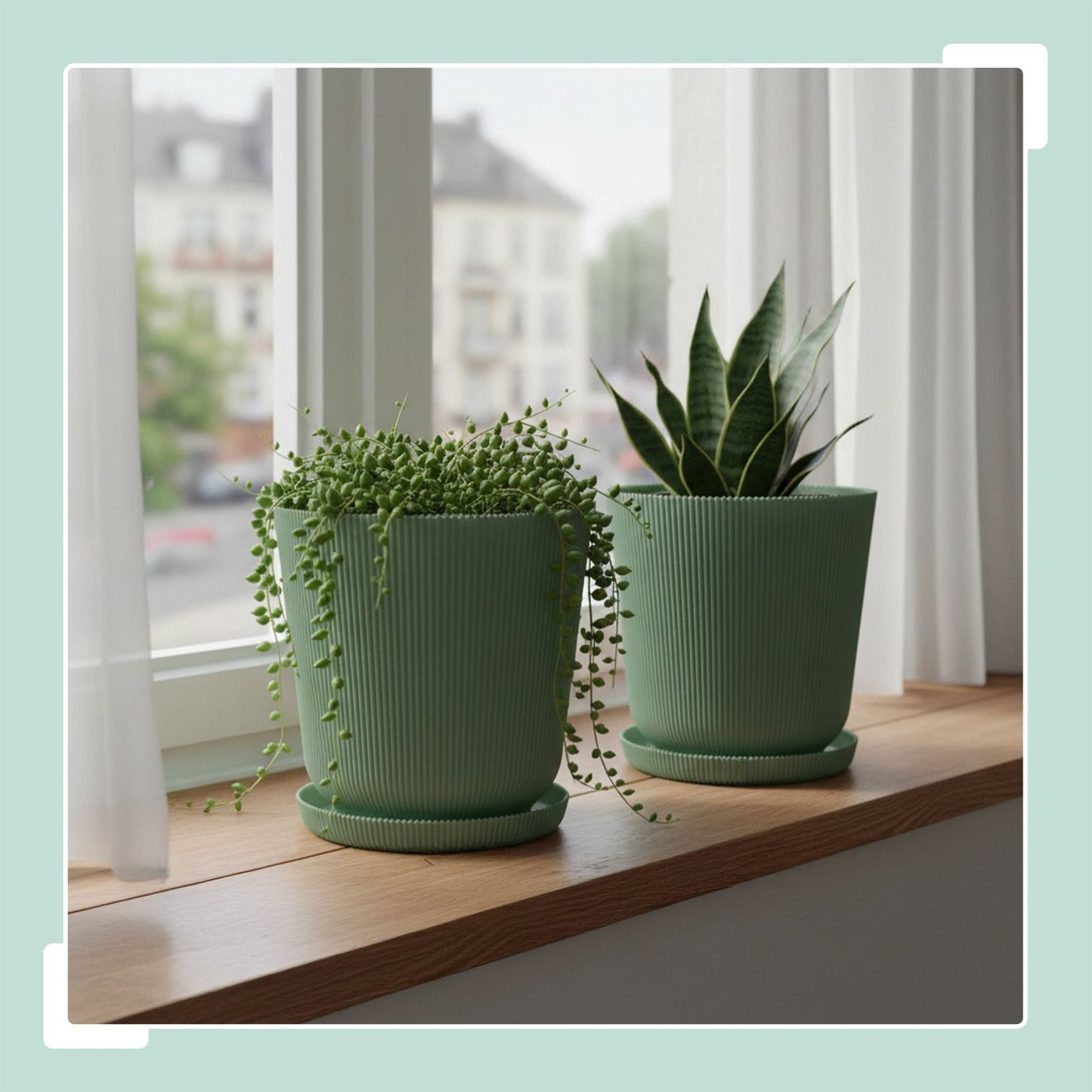 Planters with Saucers, Set of 2, Indoor/Outdoor