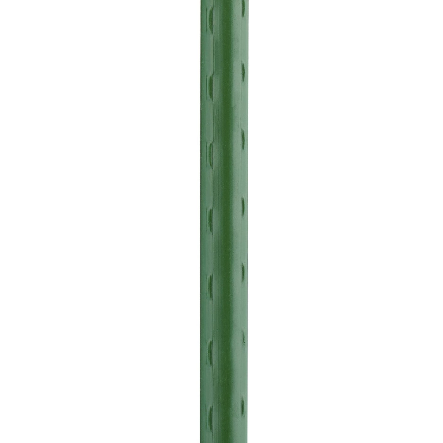 Planting sticks 75 cm in a set of 10