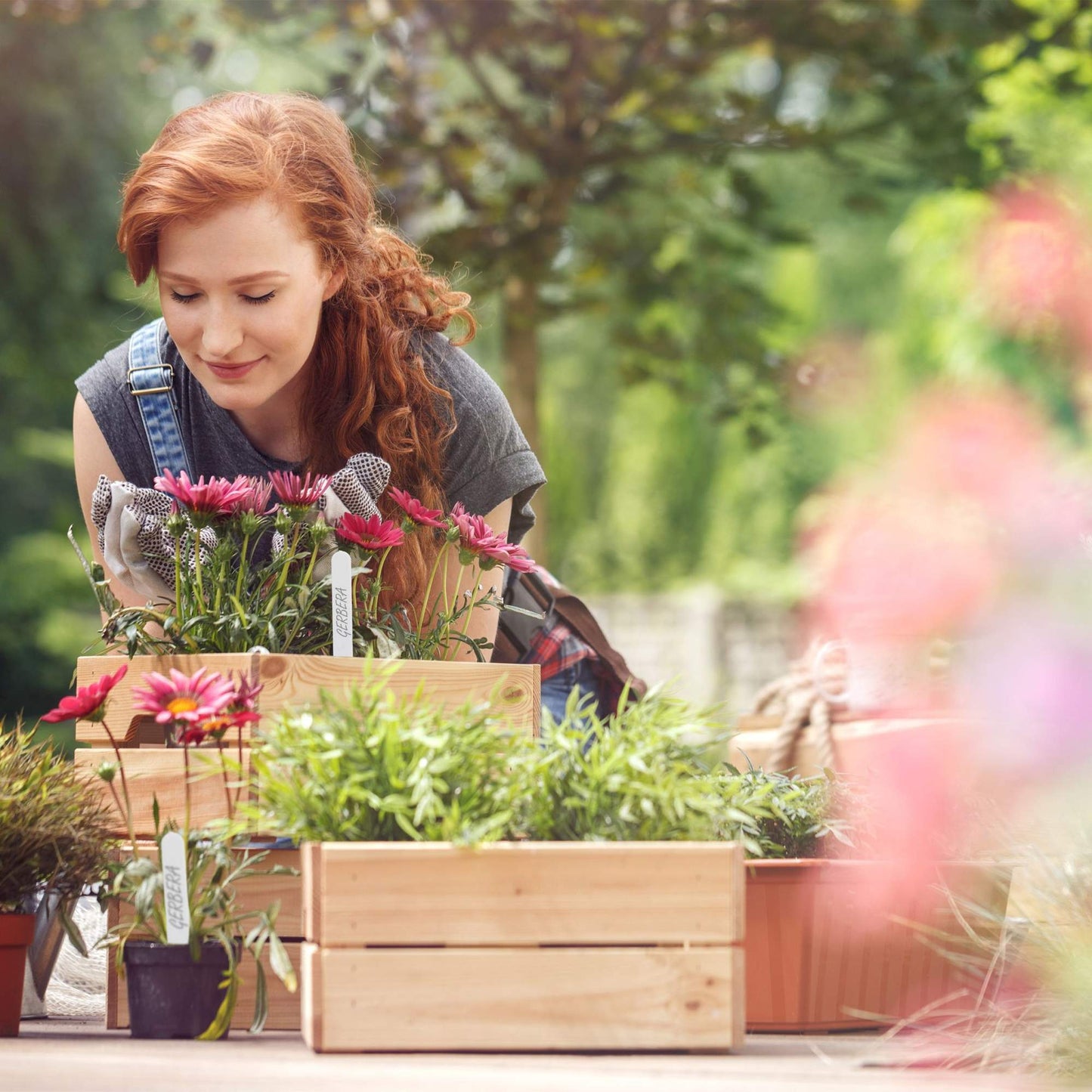 Plant labels in a set of 500