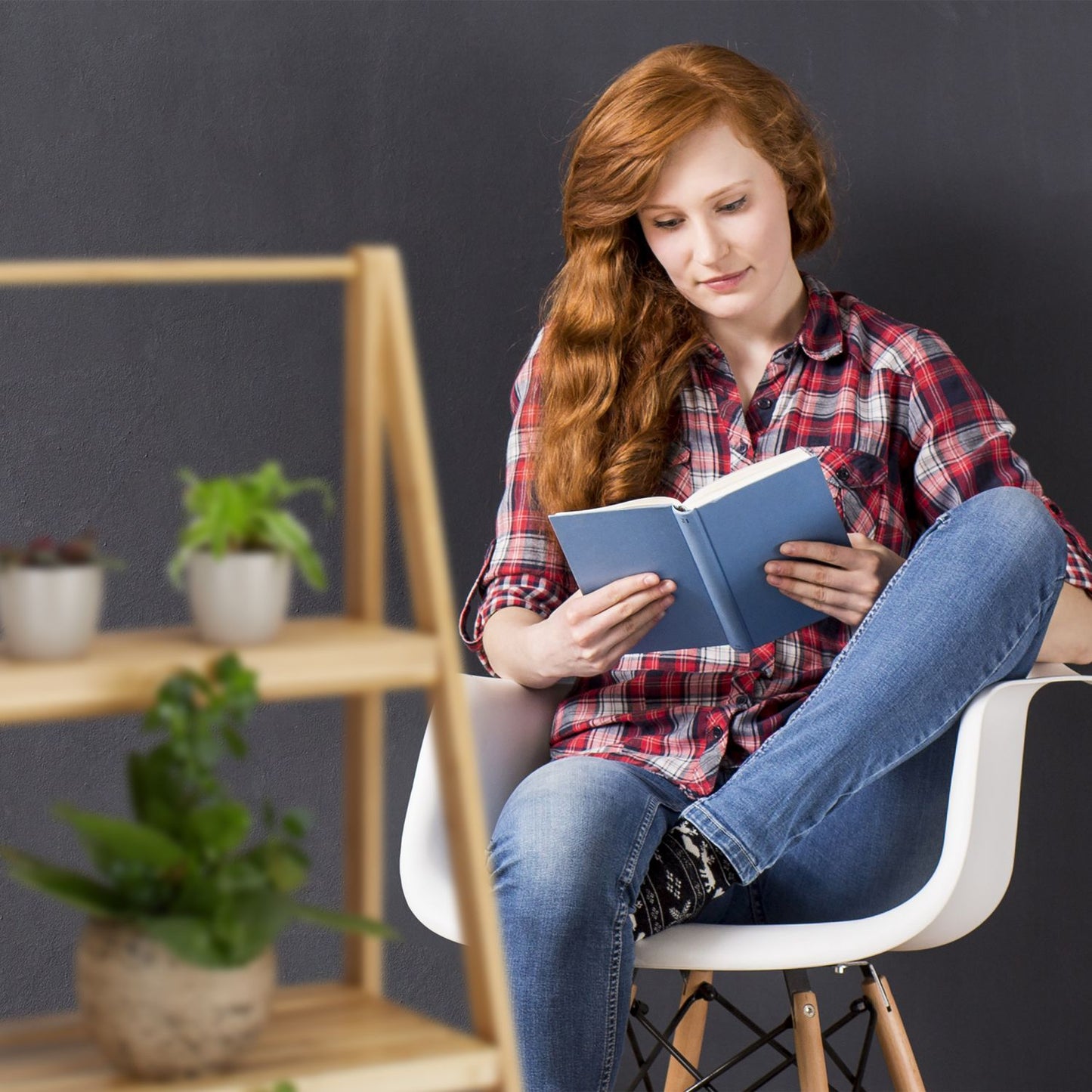 Plant shelf bamboo indoors